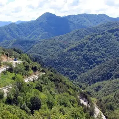 Ардински дял