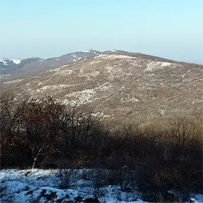 Бакаджиците