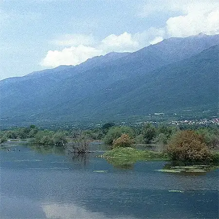 Беласица
