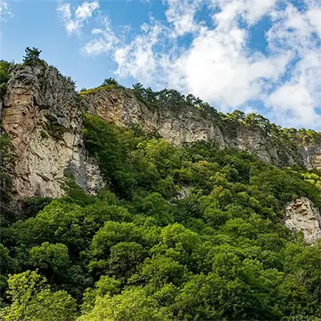 Белочерковски рид