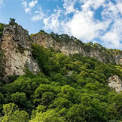 Белочерковски рид