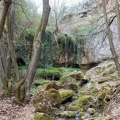 Беляковско плато