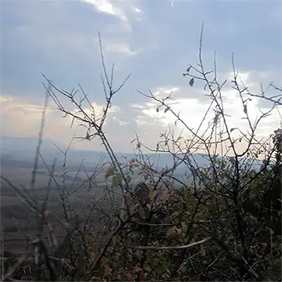 Борованска могила