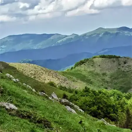 Васильовска планина