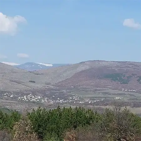 Видлич