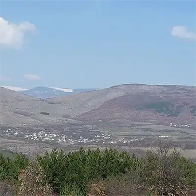 Видлич