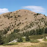 Връх Свещник