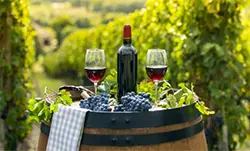 Трифон Зарезан