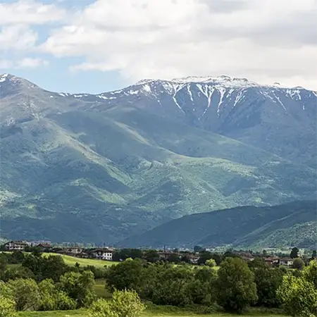 Балкански гори