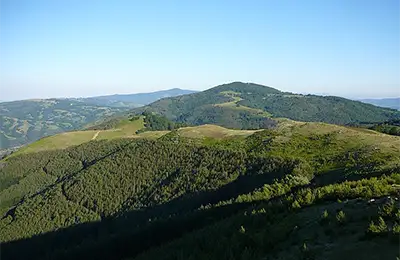 Беласишка гора