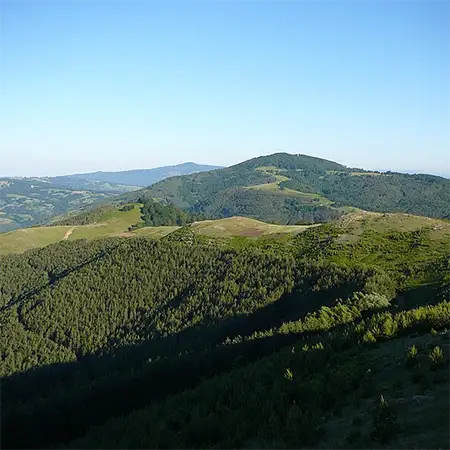 Беласишка гора