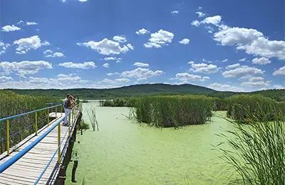 Блатото Аркутино