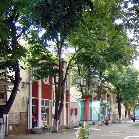 Бяла Слатина