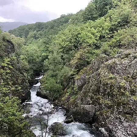 Бяла река