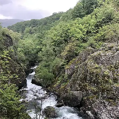 Бяла река