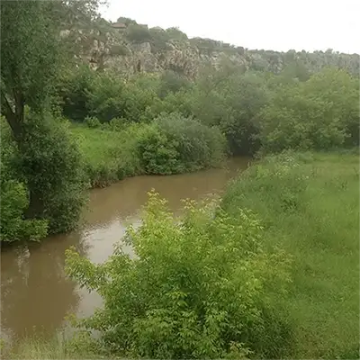 Черни Лом
