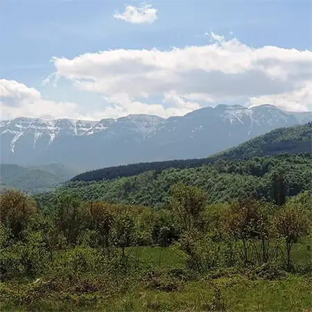 Чипровска планина