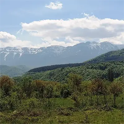 Чипровска планина
