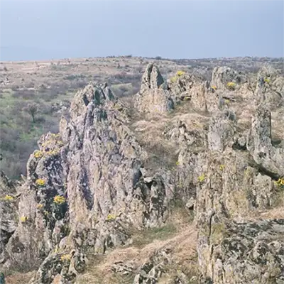 Дервентски възвишения