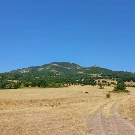 Драгойна
