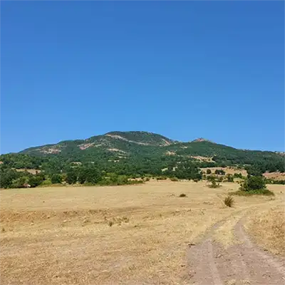 Драгойна