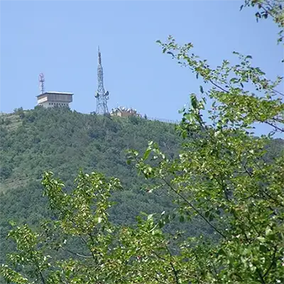 Драгойца