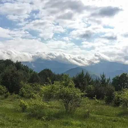 Гълъбец планина