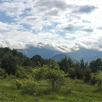 Гълъбец планина