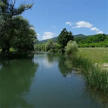 Голяма река