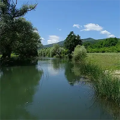 Голяма река