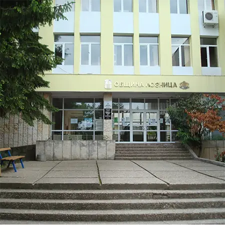 Лозница