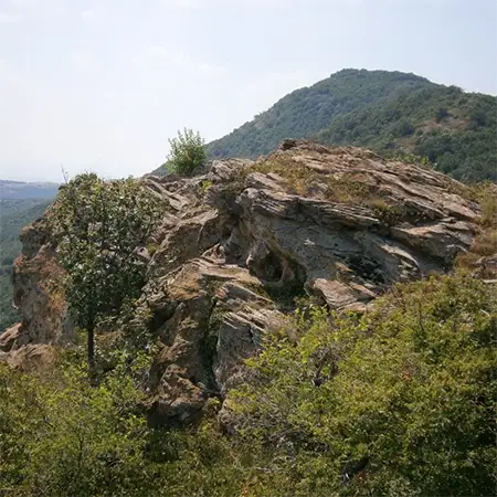 Гребенец