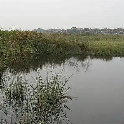 Харманлийска река