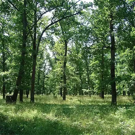 Камчийска планина