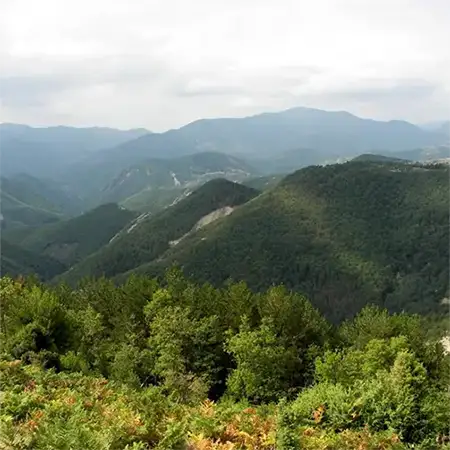 Каракулас