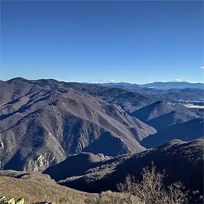 Къркария (рид)