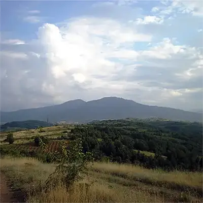 Китка (рид)