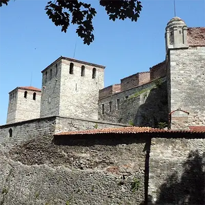 Крепостта „Баба Вида“ (X век)