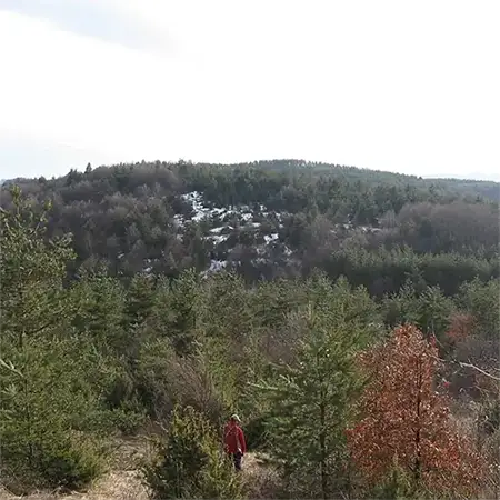 Лешниковска планина
