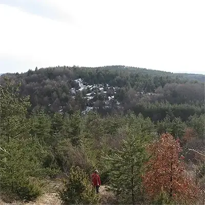 Лешниковска планина