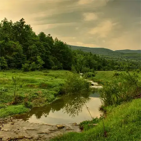 Лиса планина