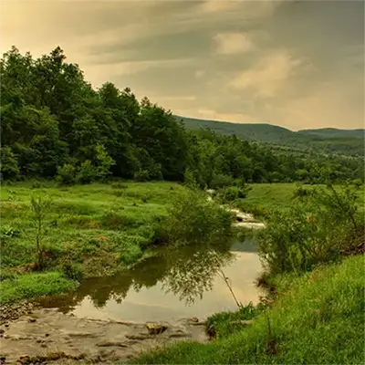 Лиса планина
