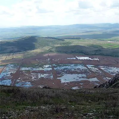 Лисиче блато