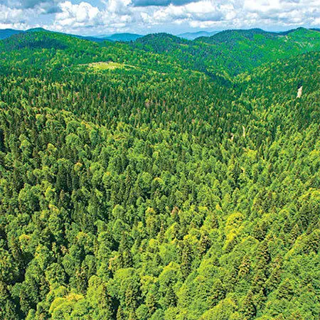 Лудогорски гори