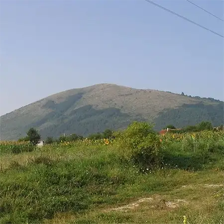 Любаш