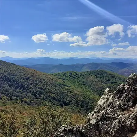 Мечковец