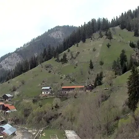 Мурсалица