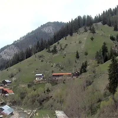 Мурсалица