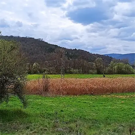 Пенкьовска планина