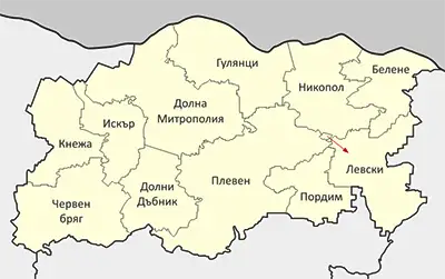 Плевен (област)
